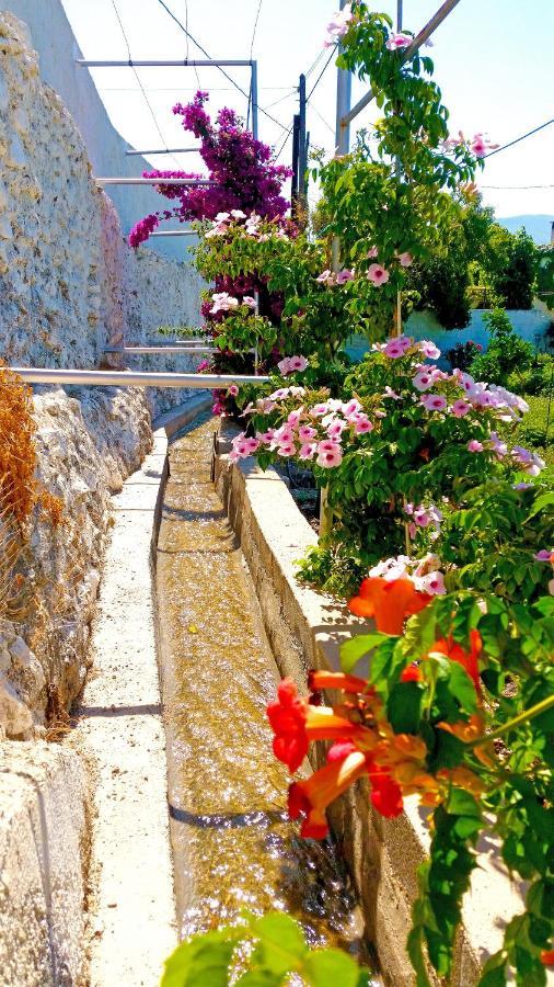 Villa Adelaida Orgiva Esterno foto